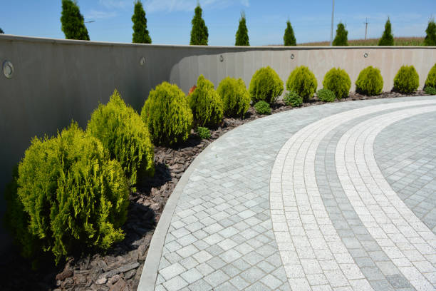 Professional Driveway Pavers in Chimayo, NM